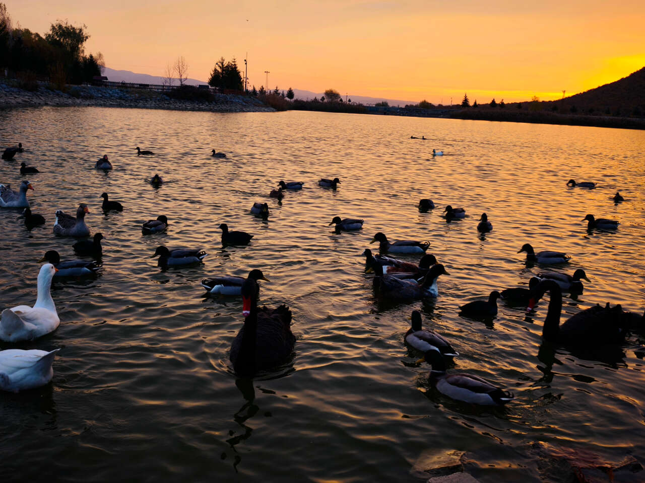 Konya’nın cennet köşesi sonbahar renkleriyle büyülüyor 11